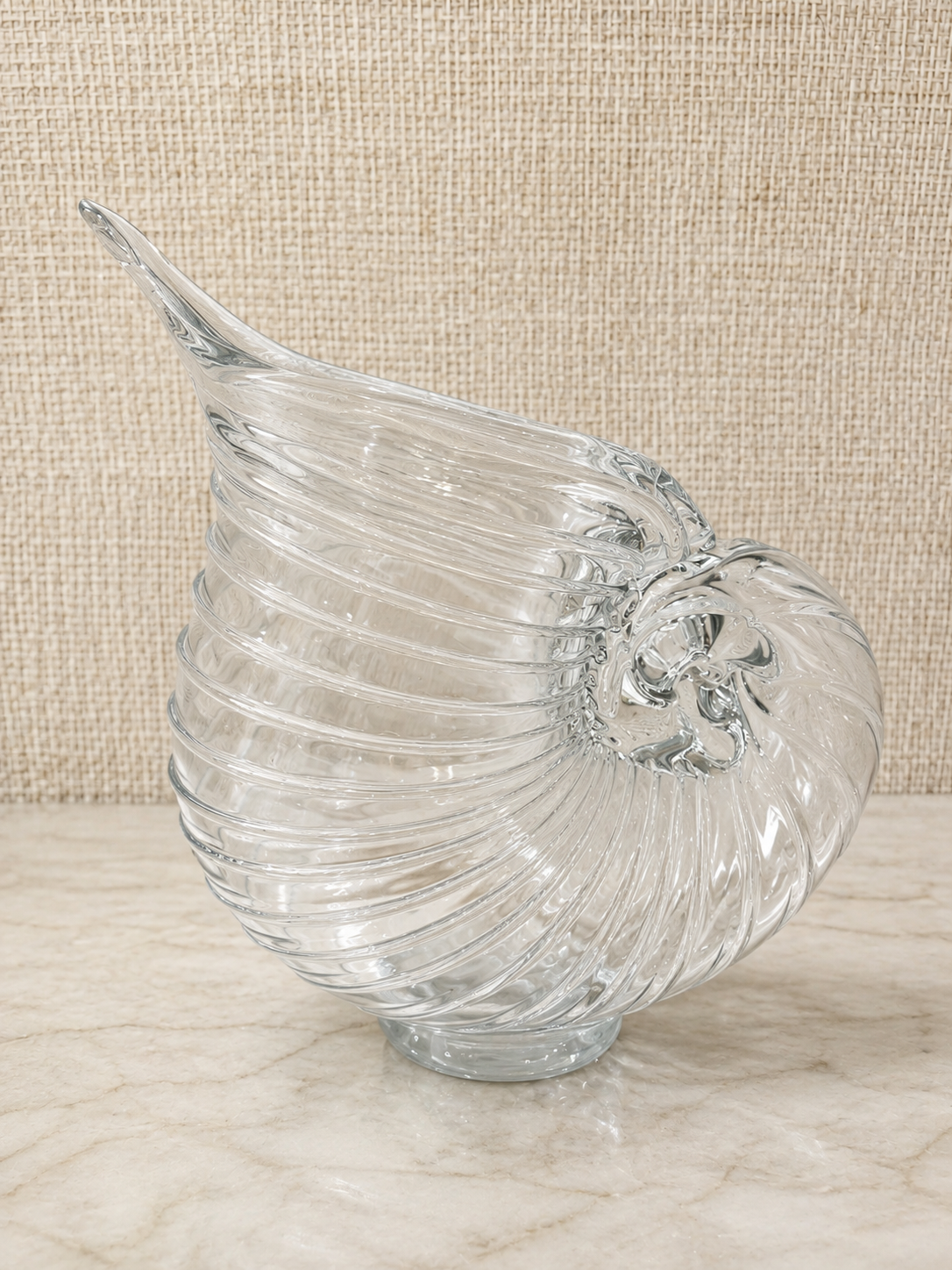 Shell Pitcher