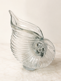 Shell Pitcher
