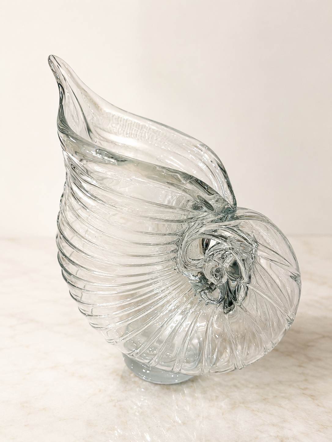 Shell Pitcher
