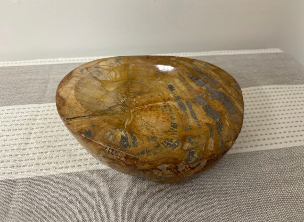 Fossil Bowl